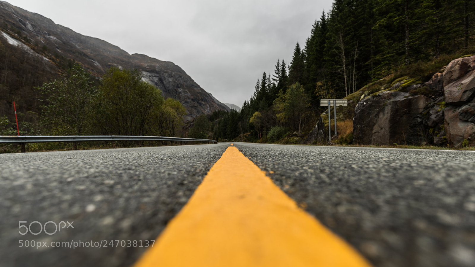 Nikon D810 sample photo. Code of the road photography
