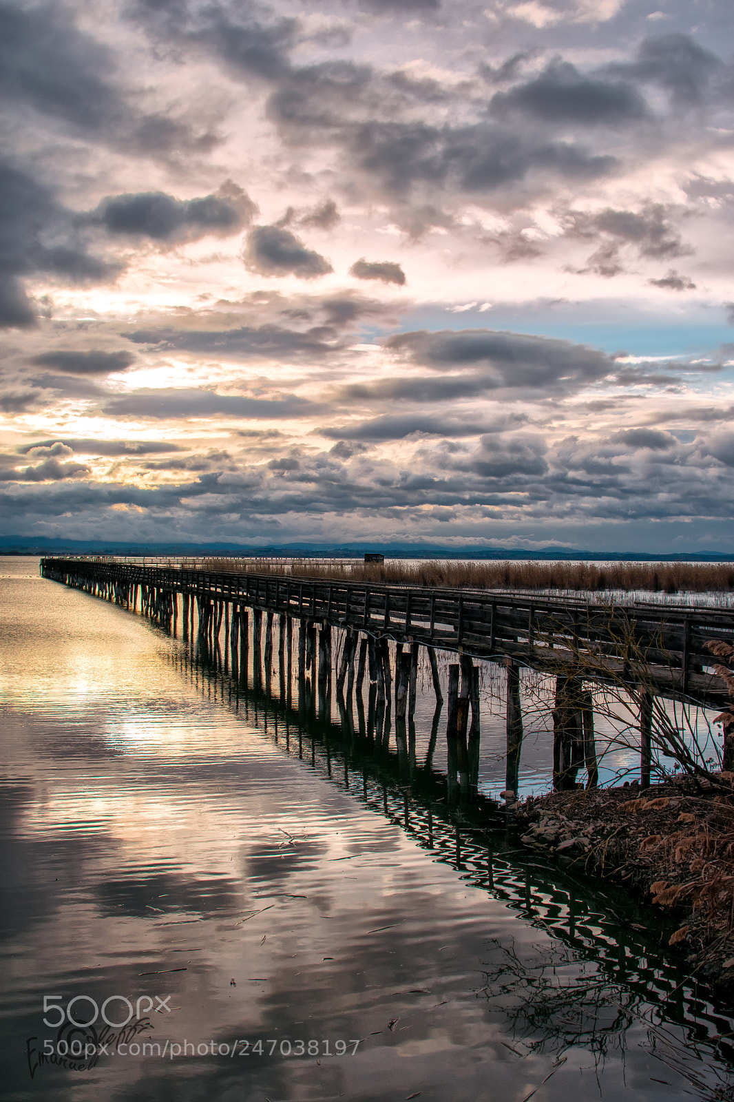 Nikon D3400 sample photo. Trasimeno, riflessi di un photography