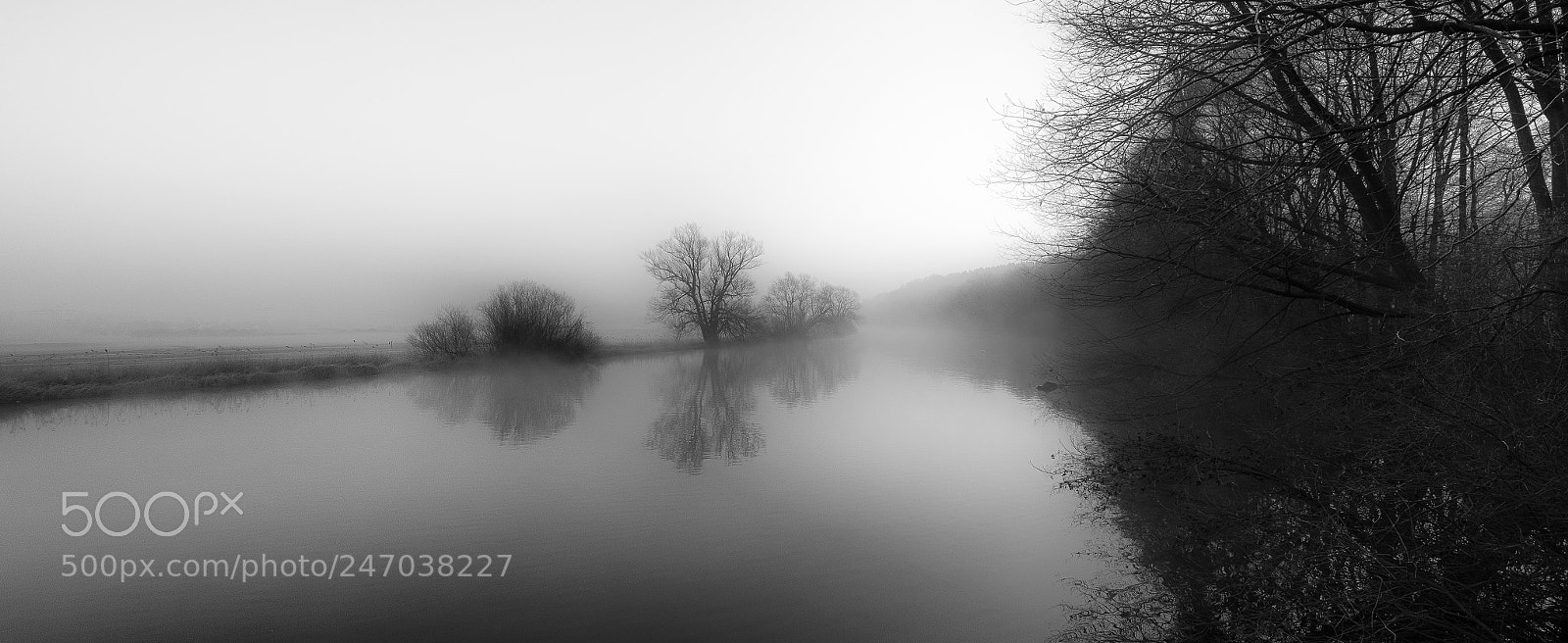 Nikon D810 sample photo. Nebel im ruhrtal photography