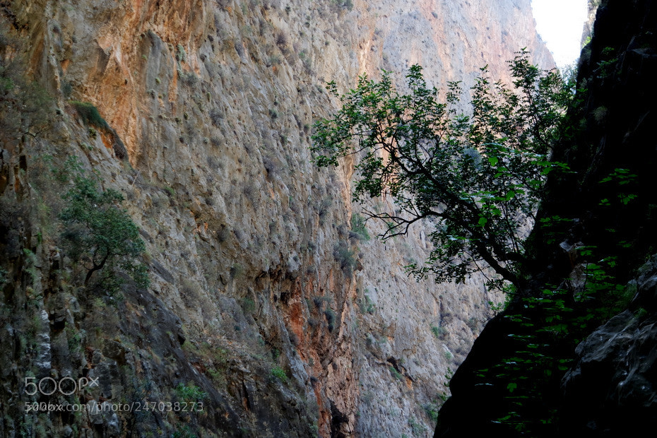 Samsung NX3000 sample photo. ... photography