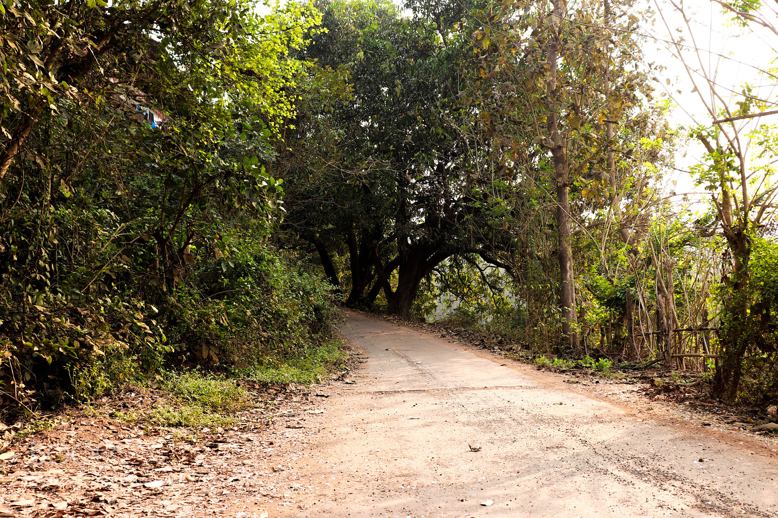 Canon EOS 200D (EOS Rebel SL2 / EOS Kiss X9) sample photo. Upside road towards mounatin photography