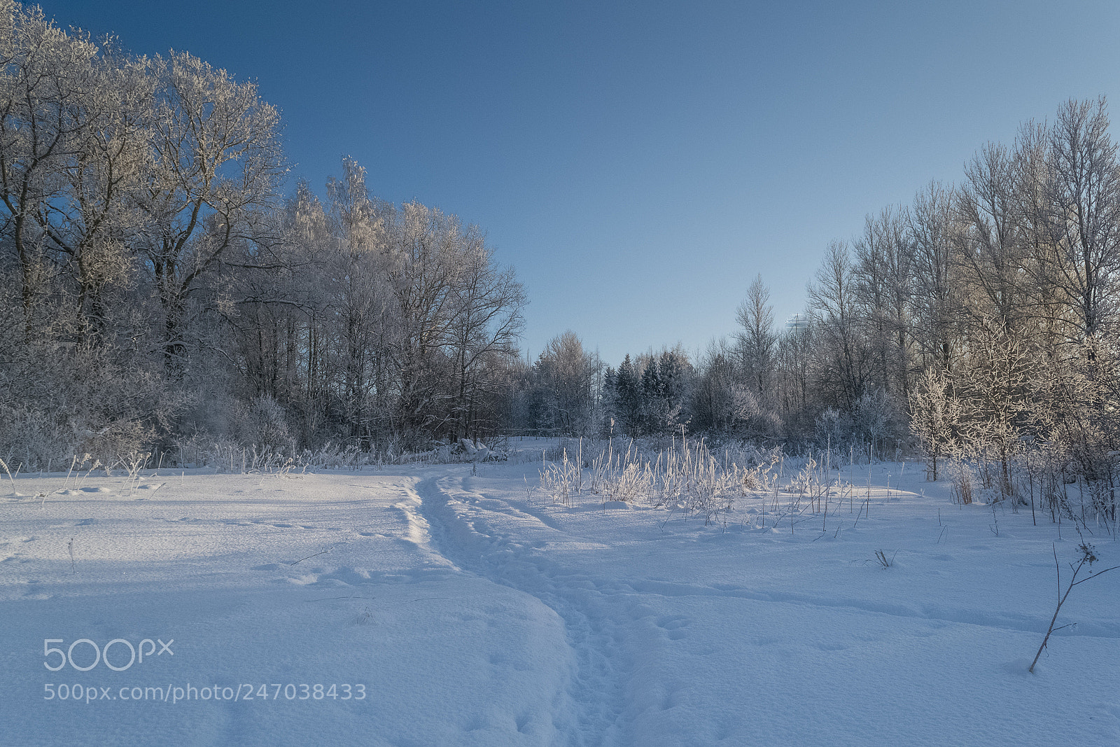 Nikon D3100 sample photo. ...winter. photography
