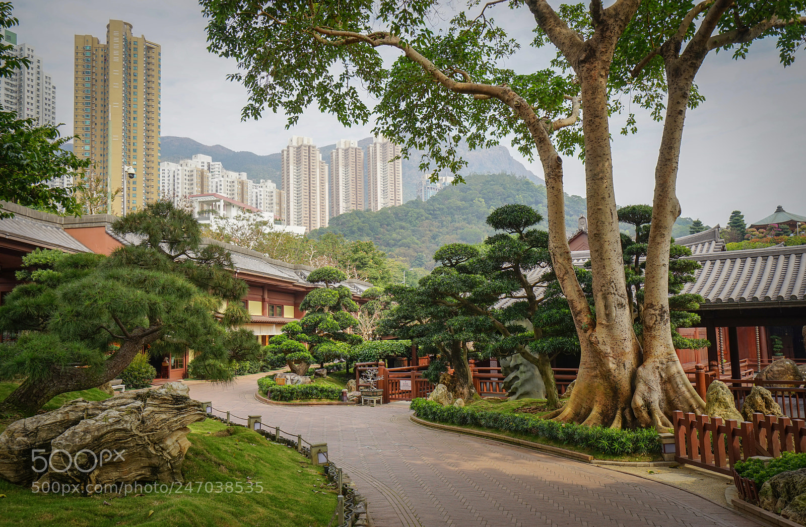 Sony a7 sample photo. Nan lian garden in photography