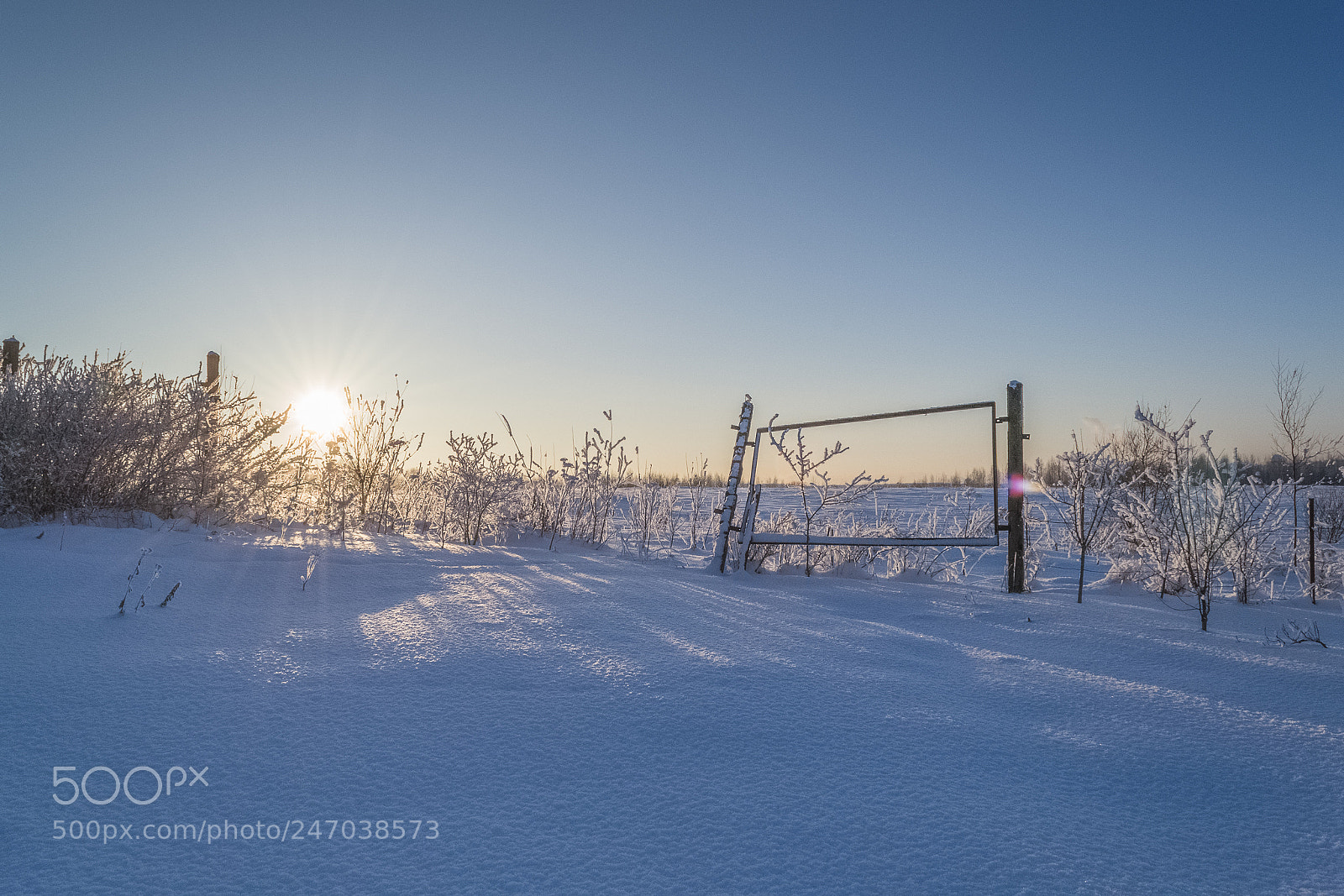 Nikon D3100 sample photo. ...winter iii. photography