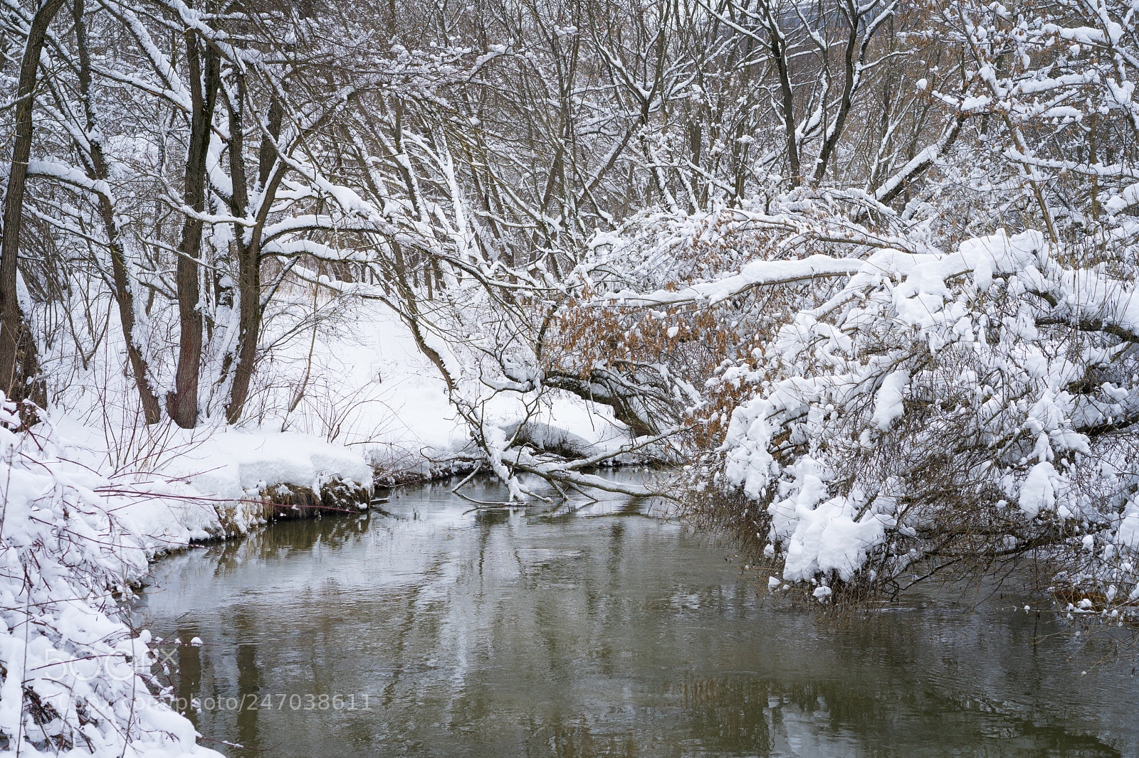 Sony a7 II sample photo. Ice-free river photography