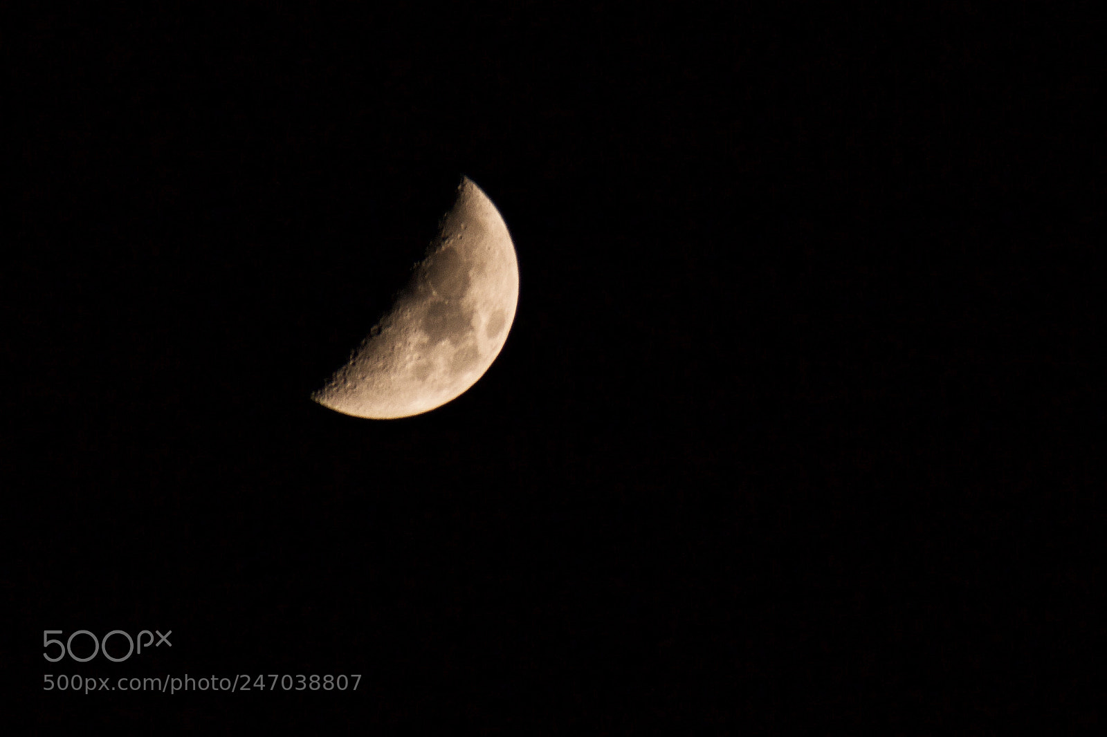 Canon EOS 600D (Rebel EOS T3i / EOS Kiss X5) sample photo. Half moon photography