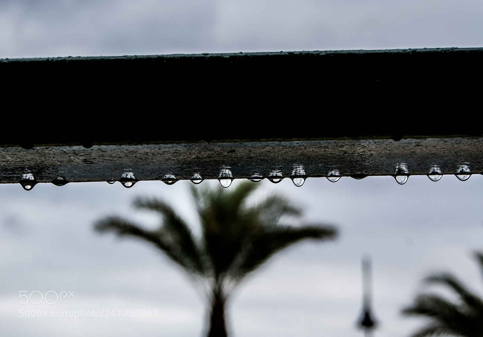 Sony Alpha DSLR-A230 sample photo. Drops photography
