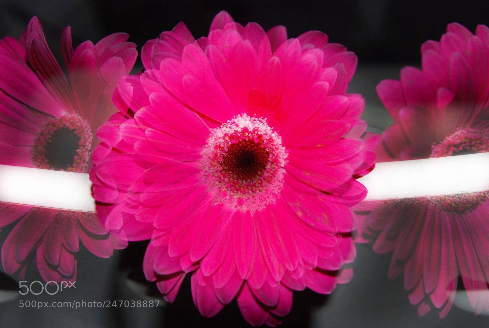 Nikon D80 sample photo. Multiple exposure photography