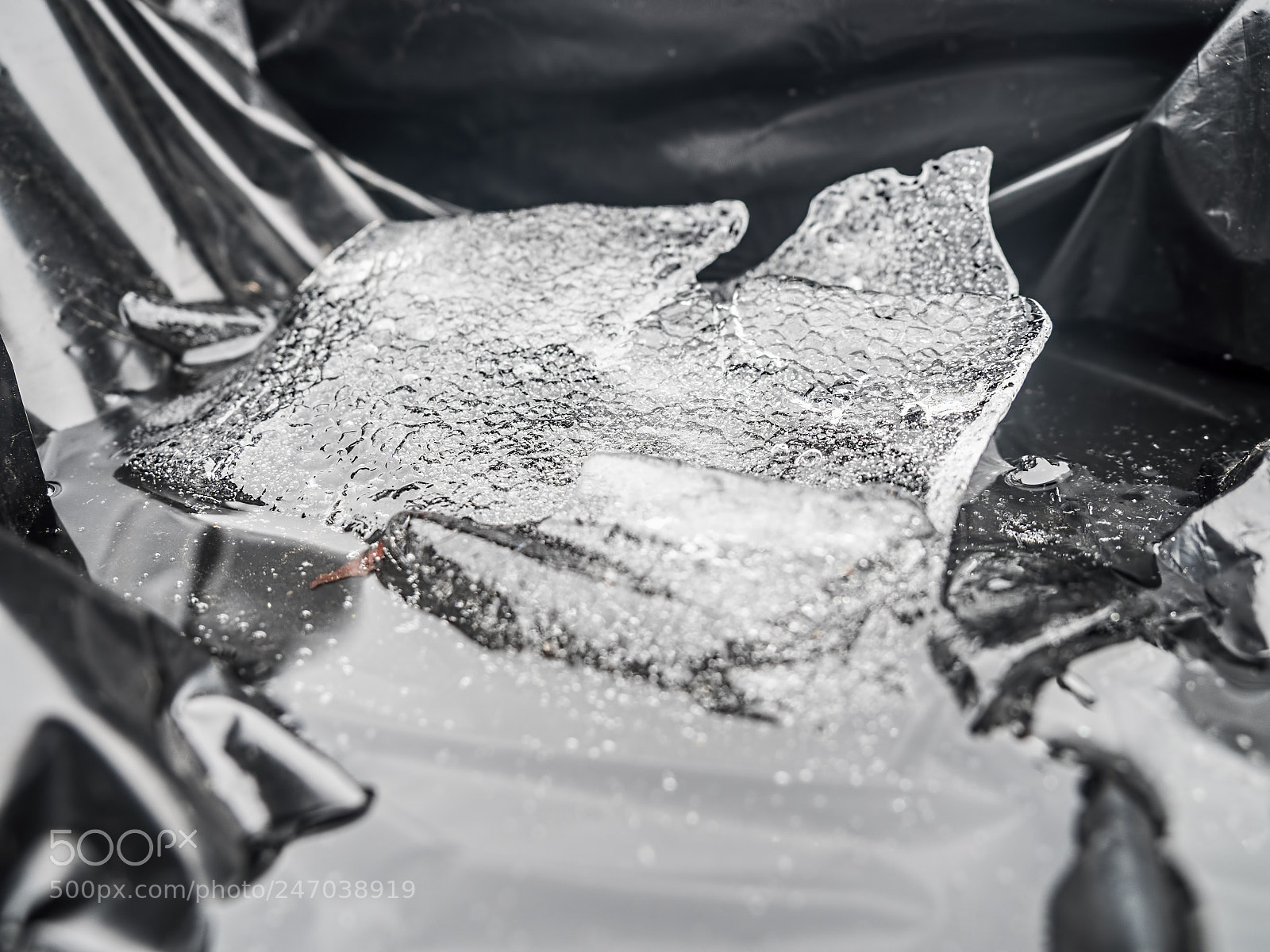 Olympus OM-D E-M1 Mark II sample photo. A piece of ice photography