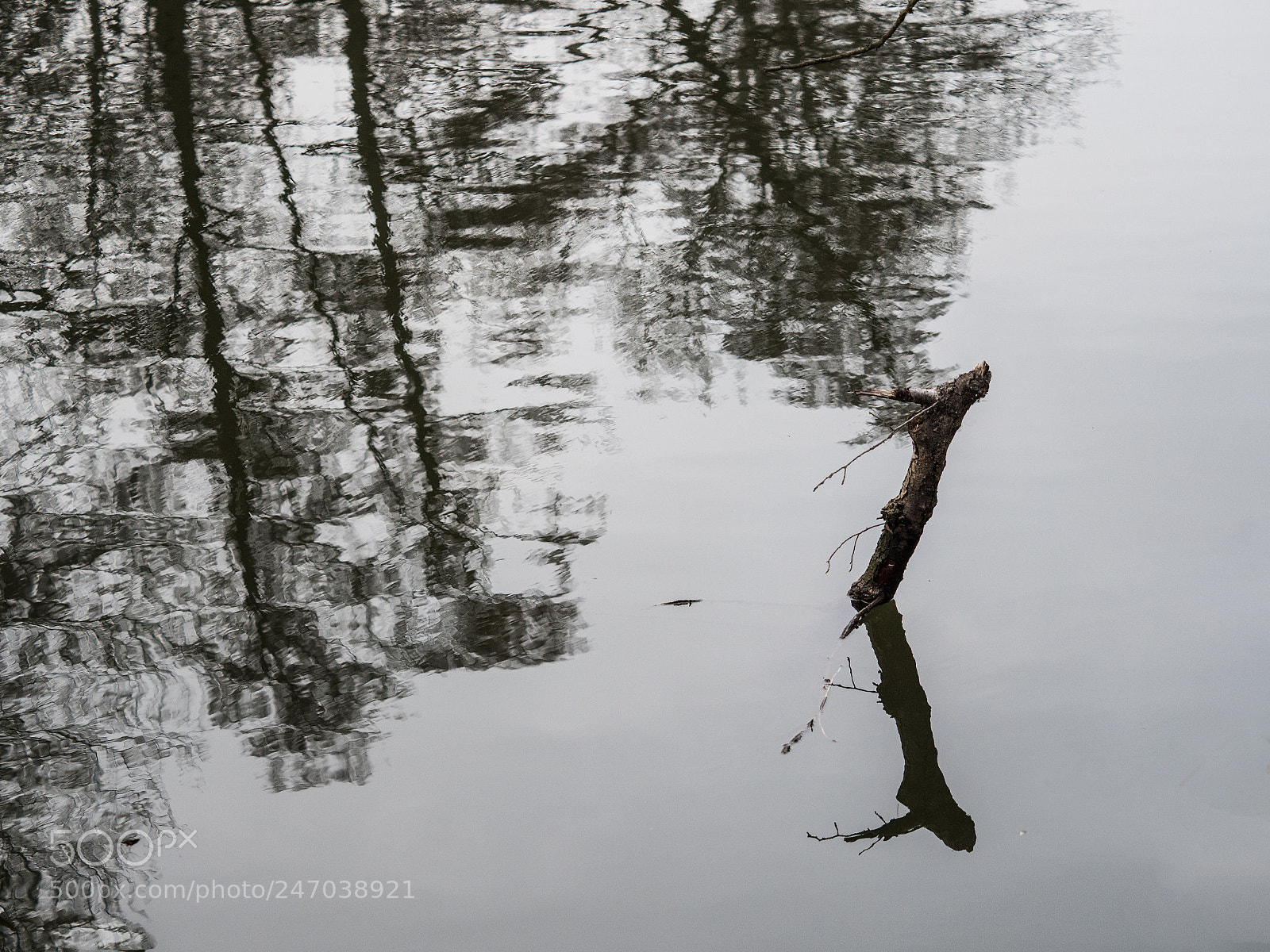 Olympus OM-D E-M1 Mark II sample photo. By the river photography