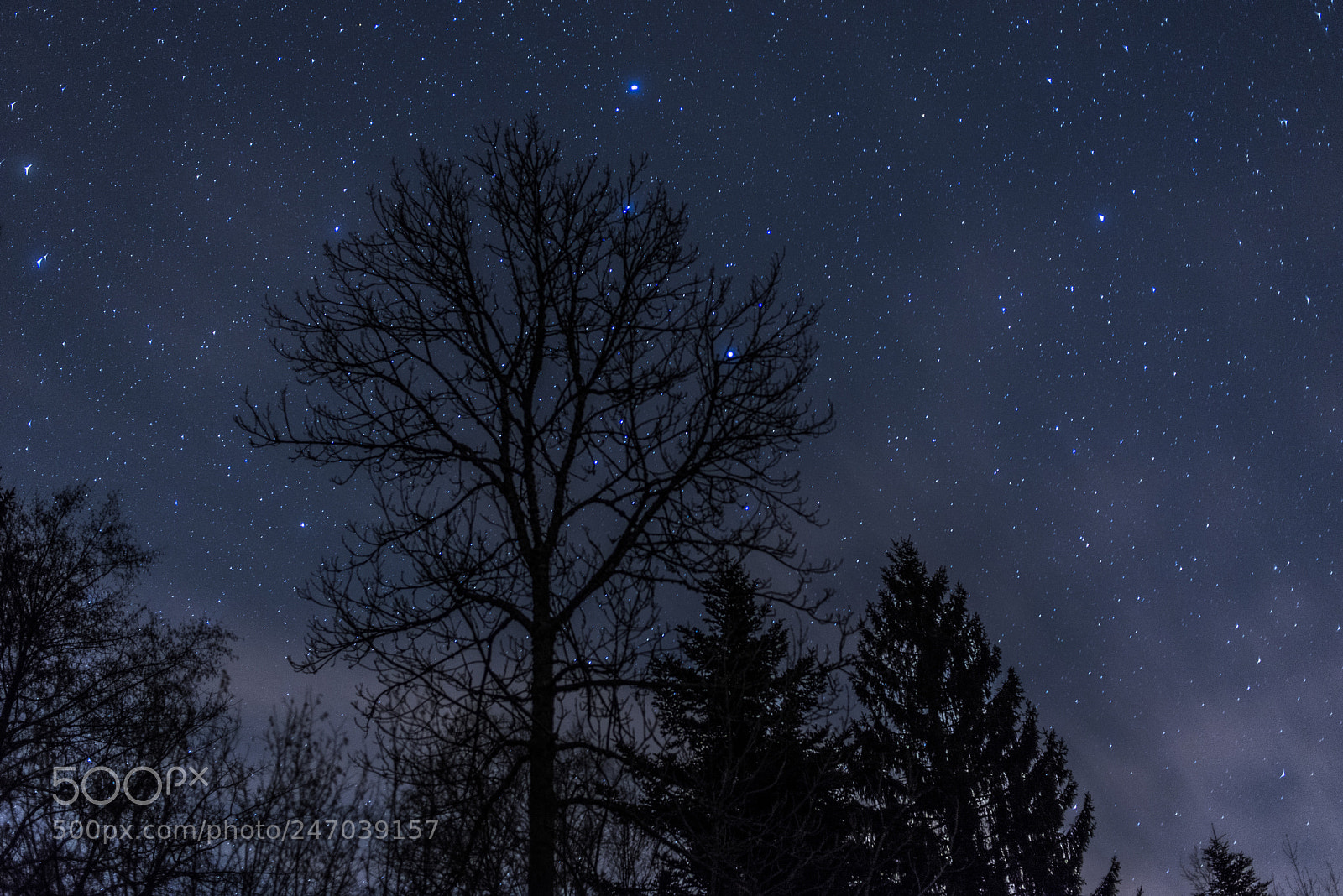 Nikon D610 sample photo. Night at saulxures photography