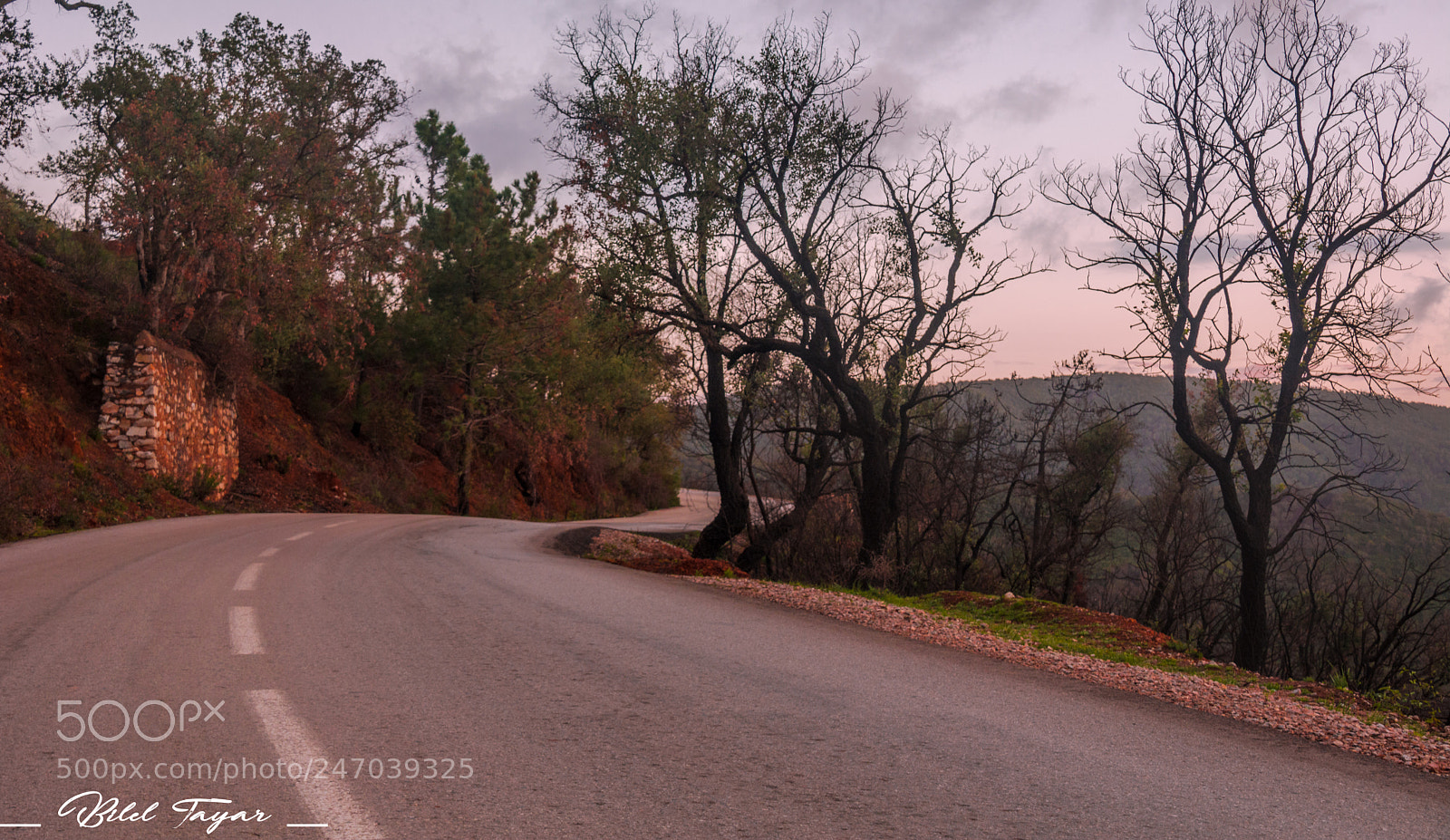 Nikon D5200 sample photo. Road to the summit photography