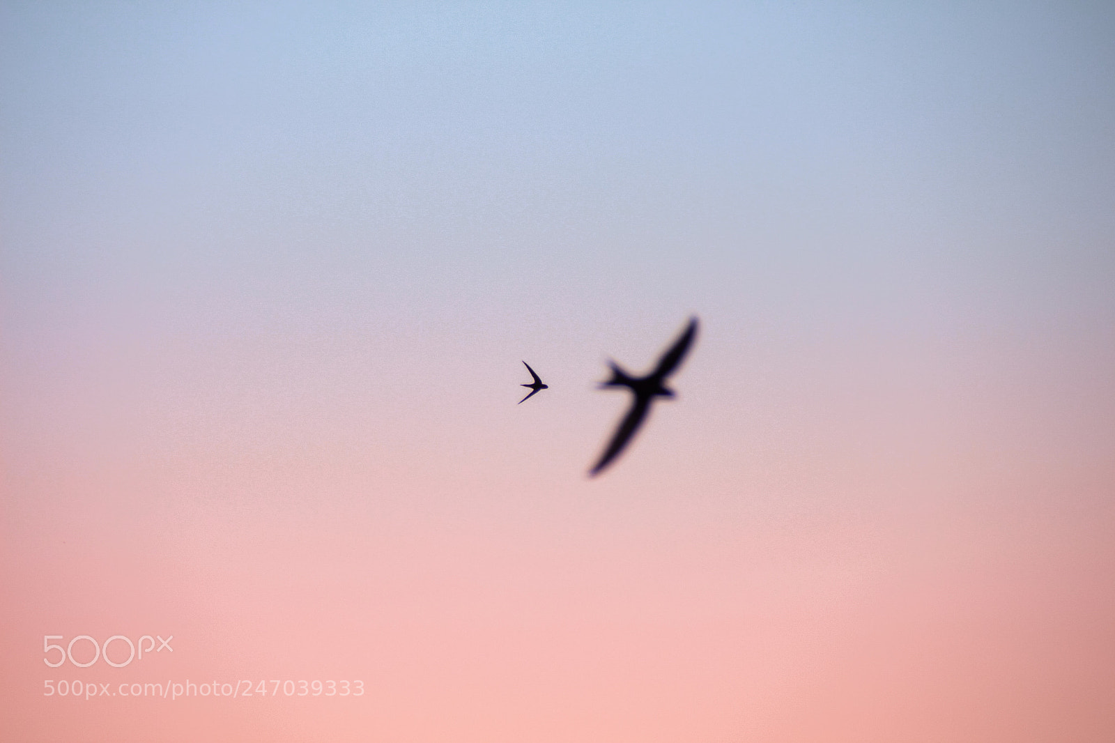 Canon EOS 700D (EOS Rebel T5i / EOS Kiss X7i) sample photo. Little planes photography