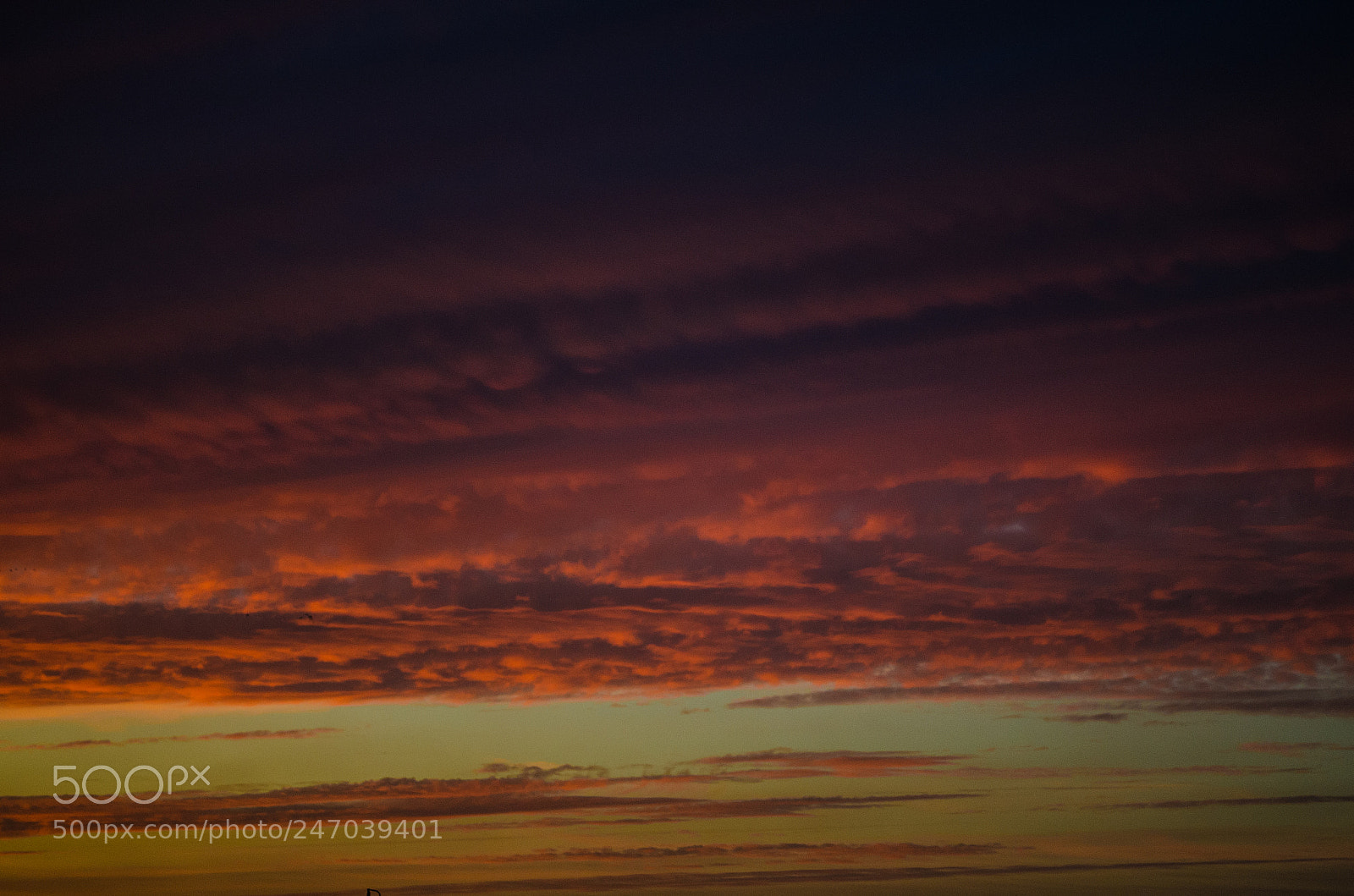 Nikon D5100 sample photo. Rooftop sunset photography