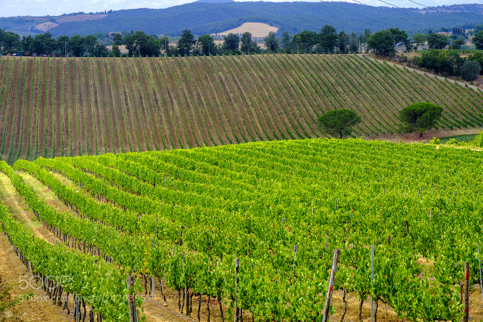 Fujifilm X-T2 sample photo. Summer landscape near montepulciano photography