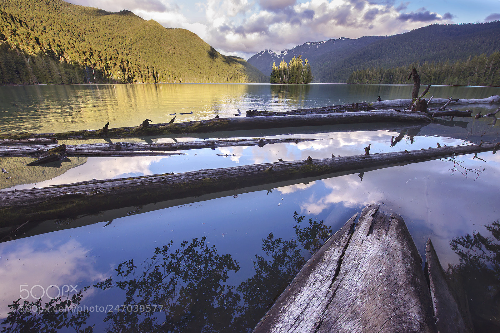 Nikon D610 sample photo. Packwood photography