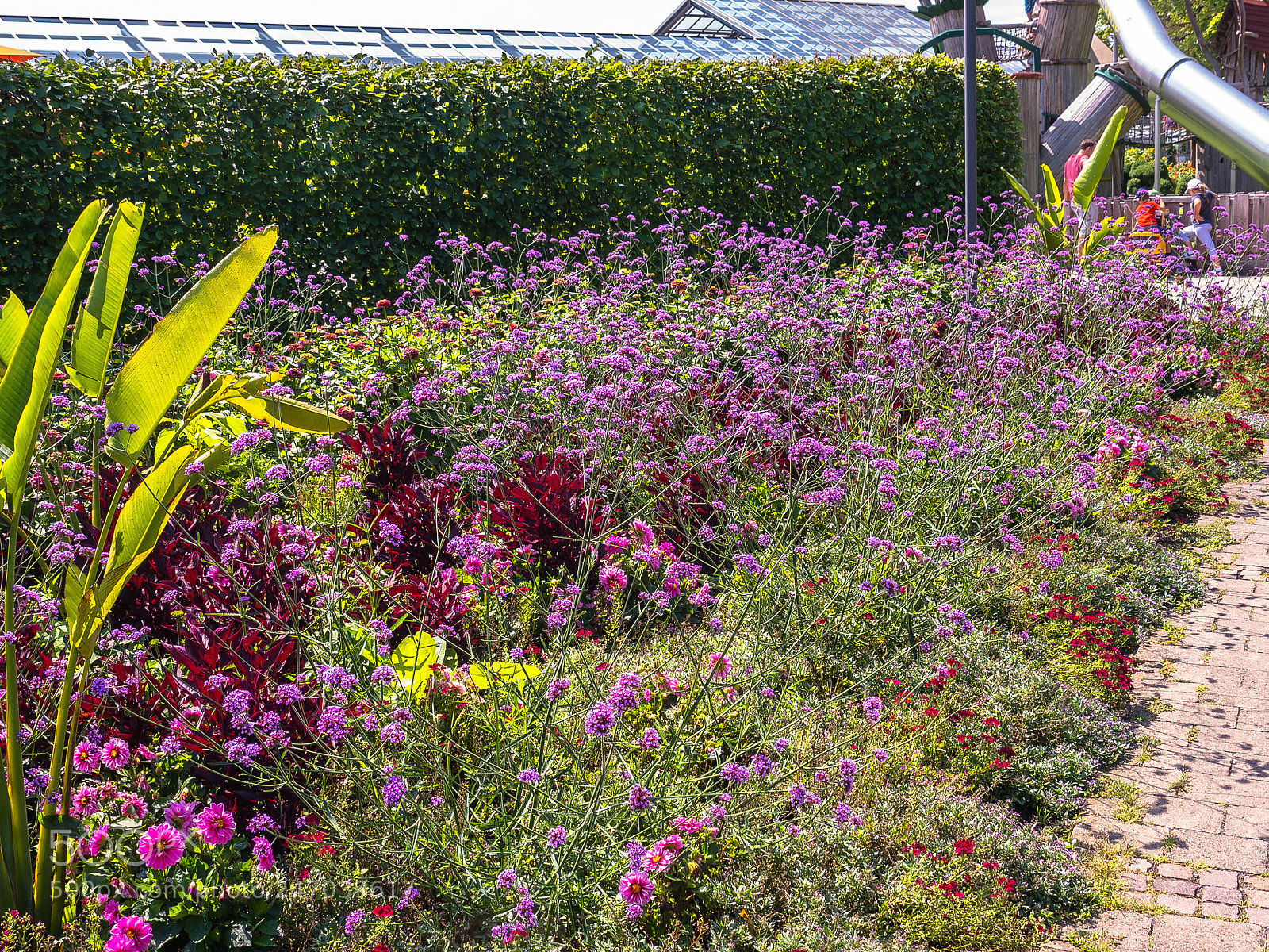 Panasonic Lumix DMC-G5 sample photo. Blumen im blumenpark flowers photography