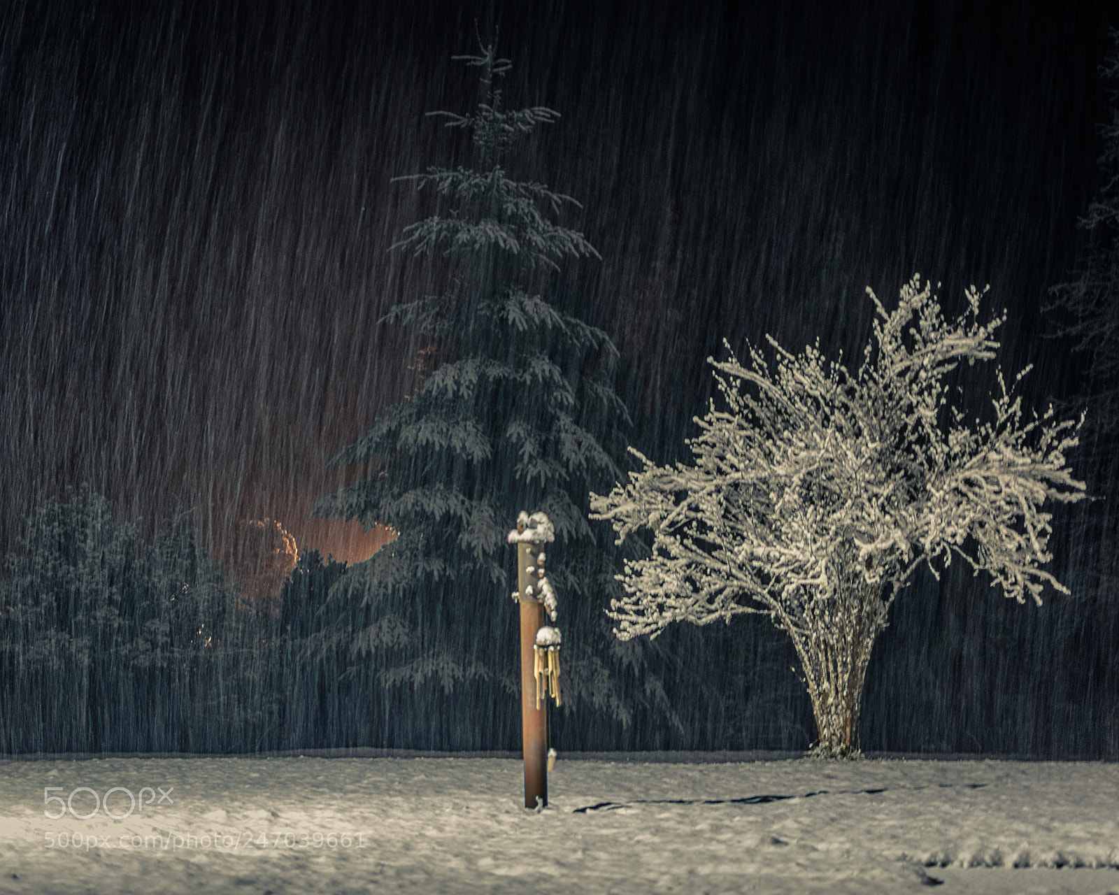 Nikon D7200 sample photo. Snowfall at night photography