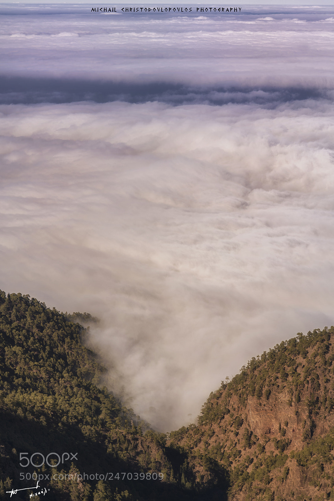 Nikon D810 sample photo. Parque nacional de la photography