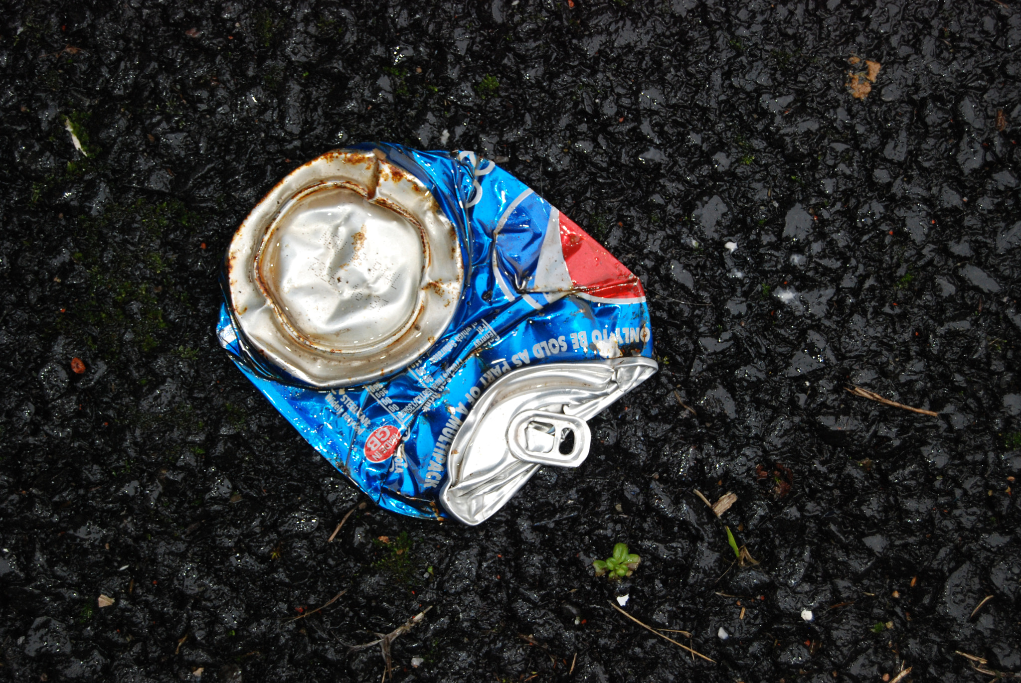 Nikon D80 sample photo. Street litter 2 photography