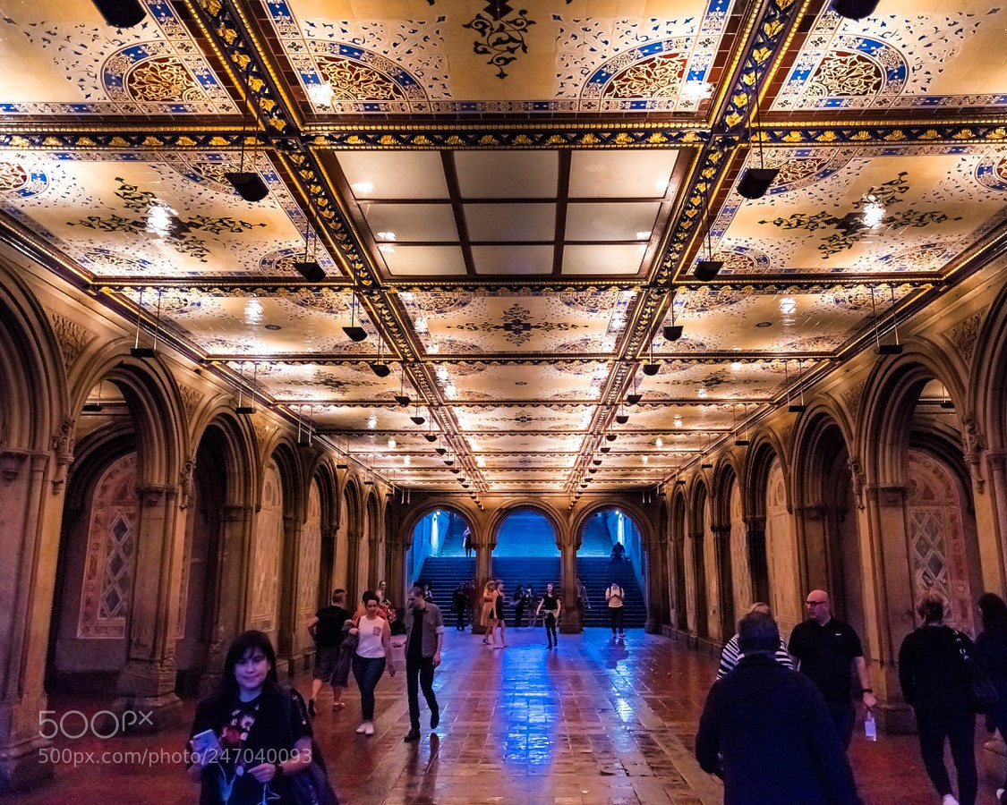 Nikon D500 sample photo. Central parks bethesda terrace photography