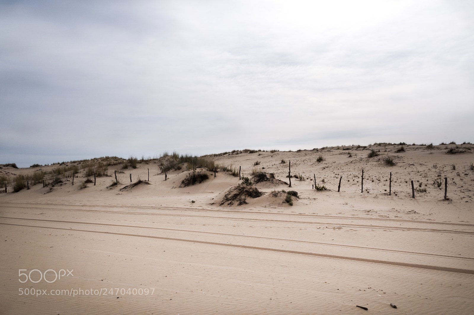 Nikon D300S sample photo. Doñana photography