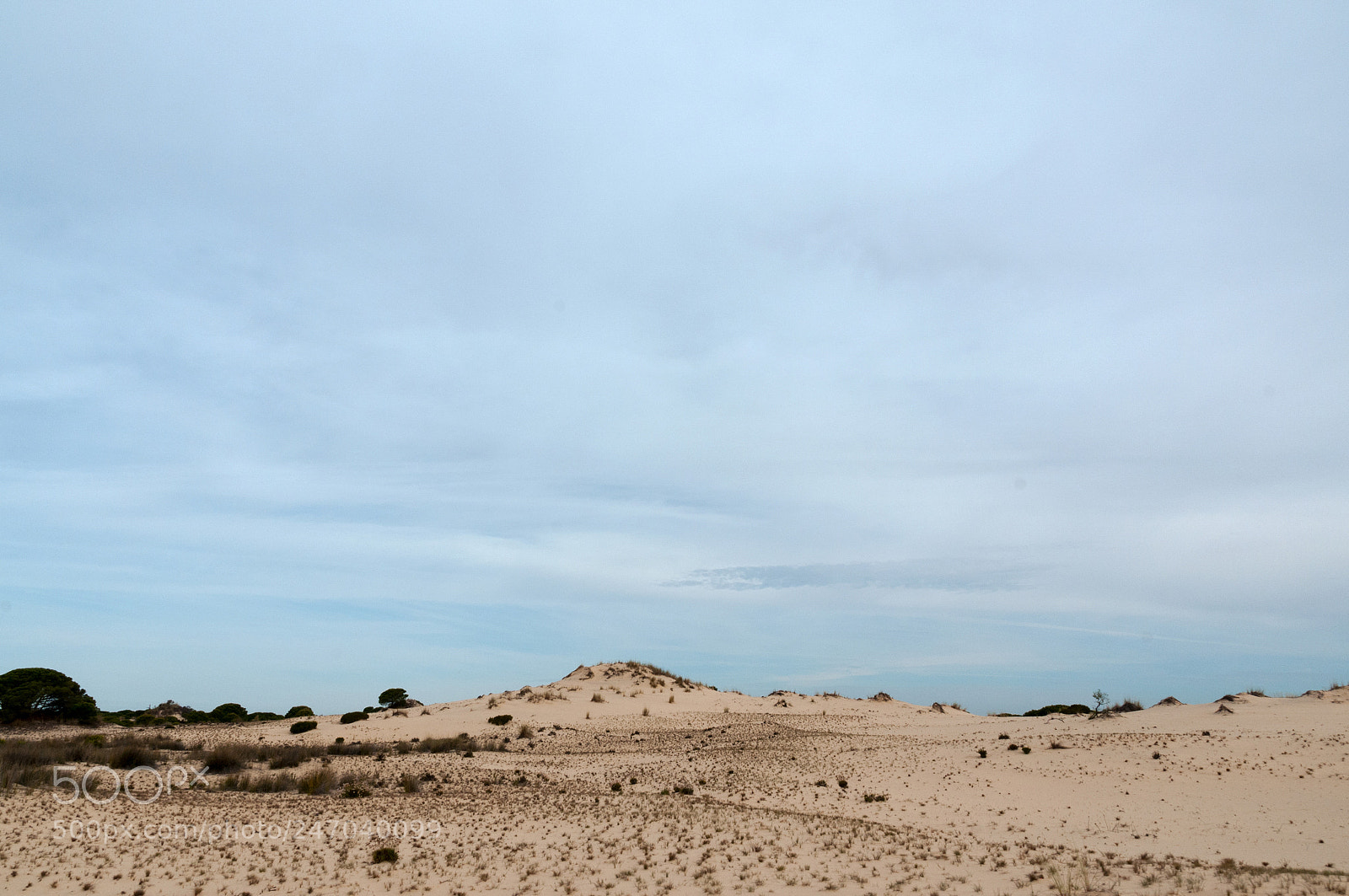 Nikon D300S sample photo. Doñana photography