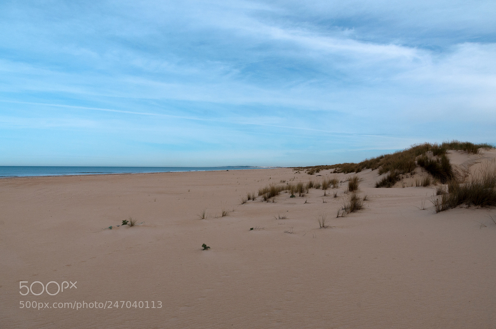 Nikon D300S sample photo. Doñana photography