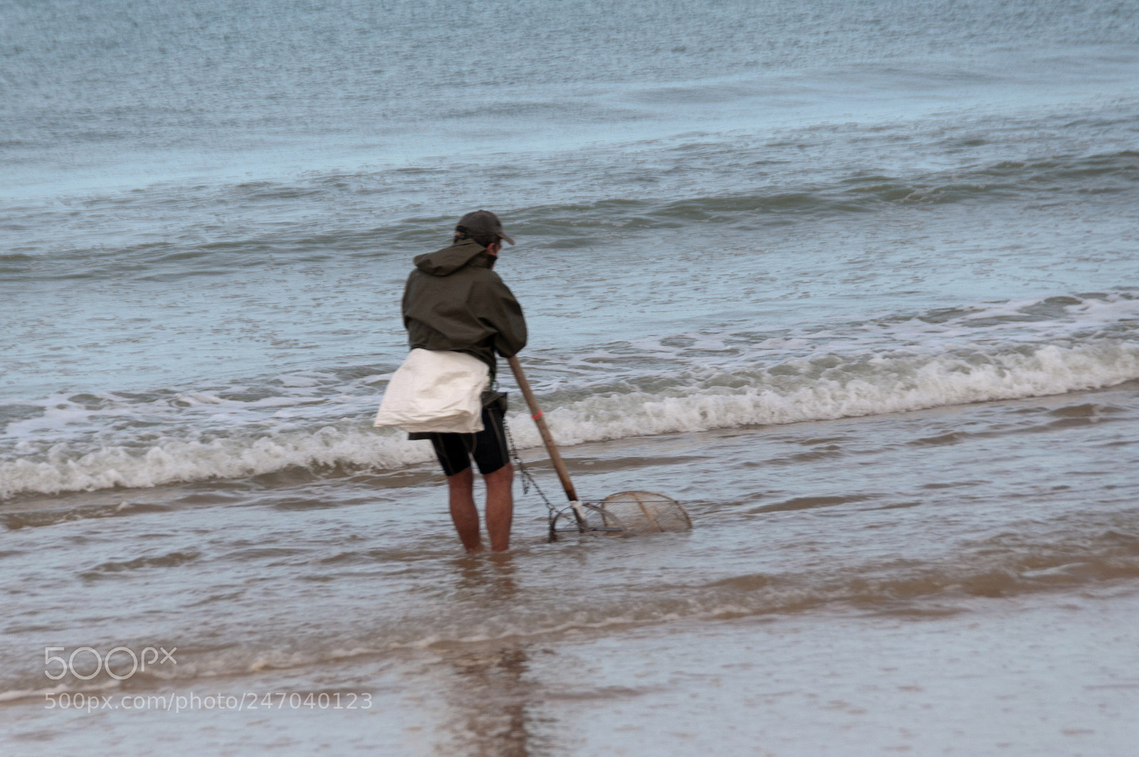 Nikon D300S sample photo. Doñana photography
