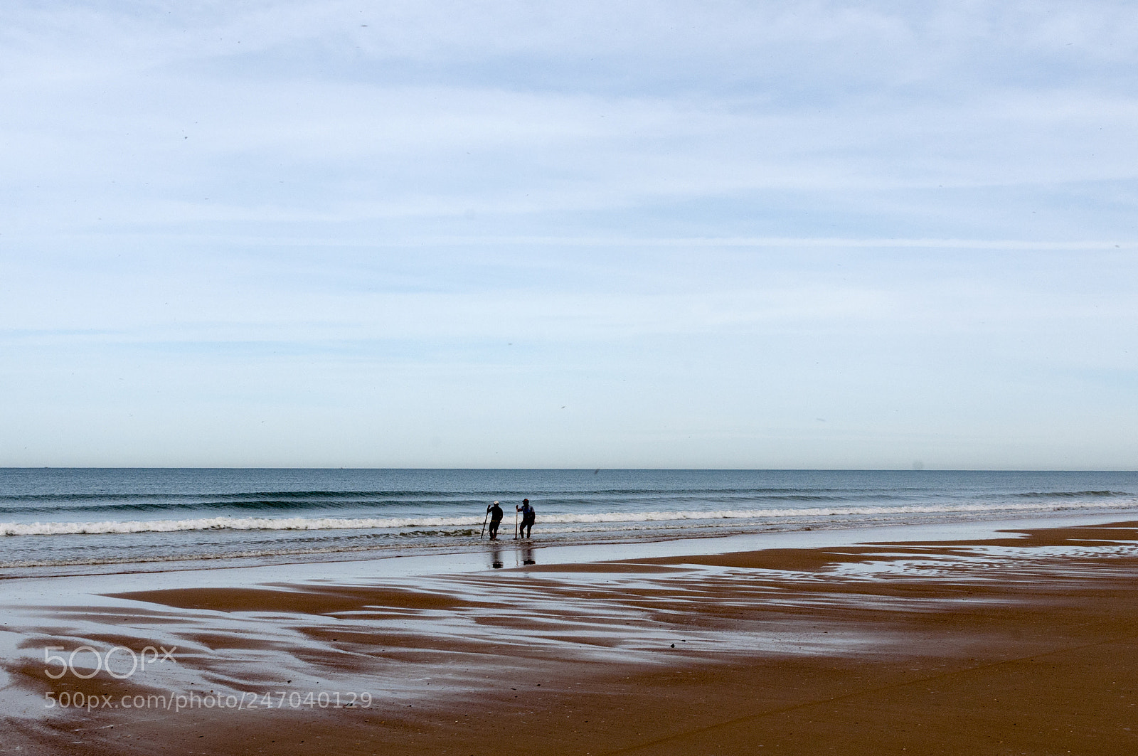 Nikon D300S sample photo. Doñana photography