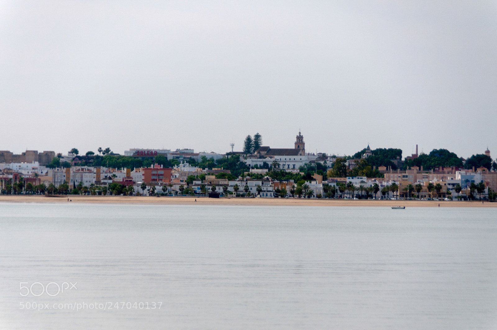 Nikon D300S sample photo. Doñana photography