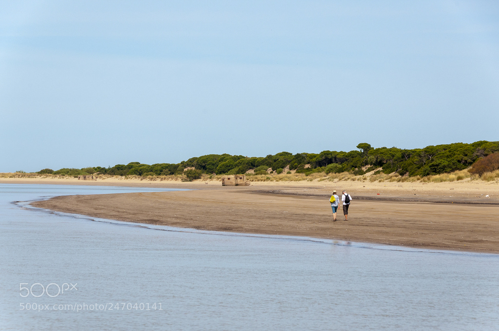 Nikon D300S sample photo. Doñana photography