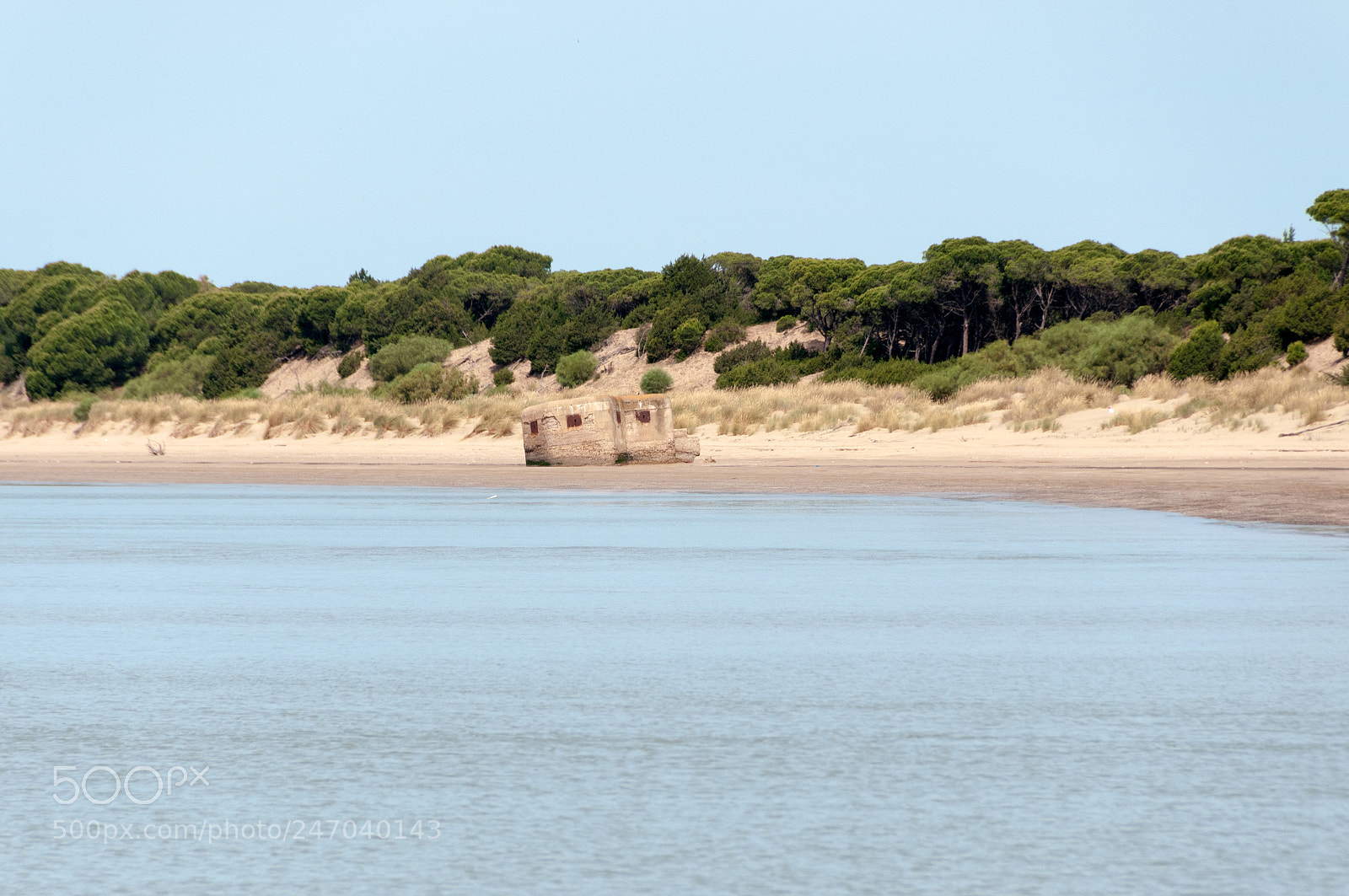 Nikon D300S sample photo. Doñana photography