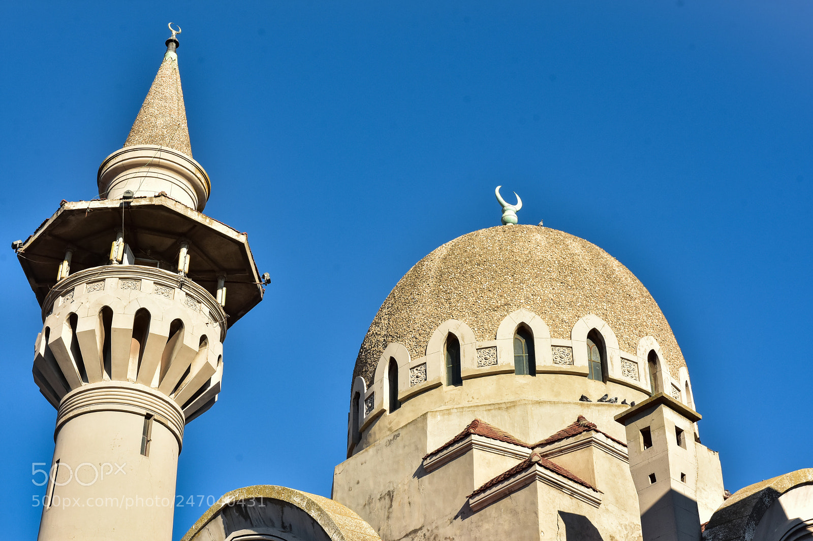 Nikon D7200 sample photo. Carol i mosque photography