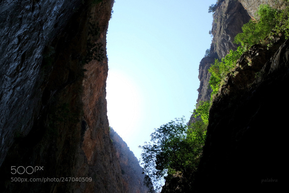 Samsung NX3000 sample photo. ... photography
