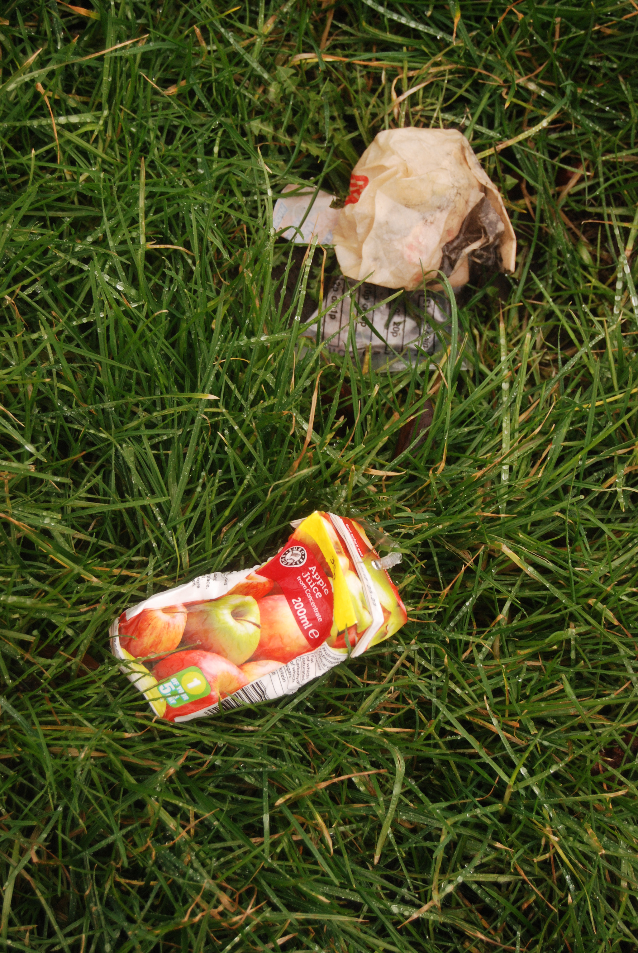 Nikon D80 sample photo. Street litter 3 photography