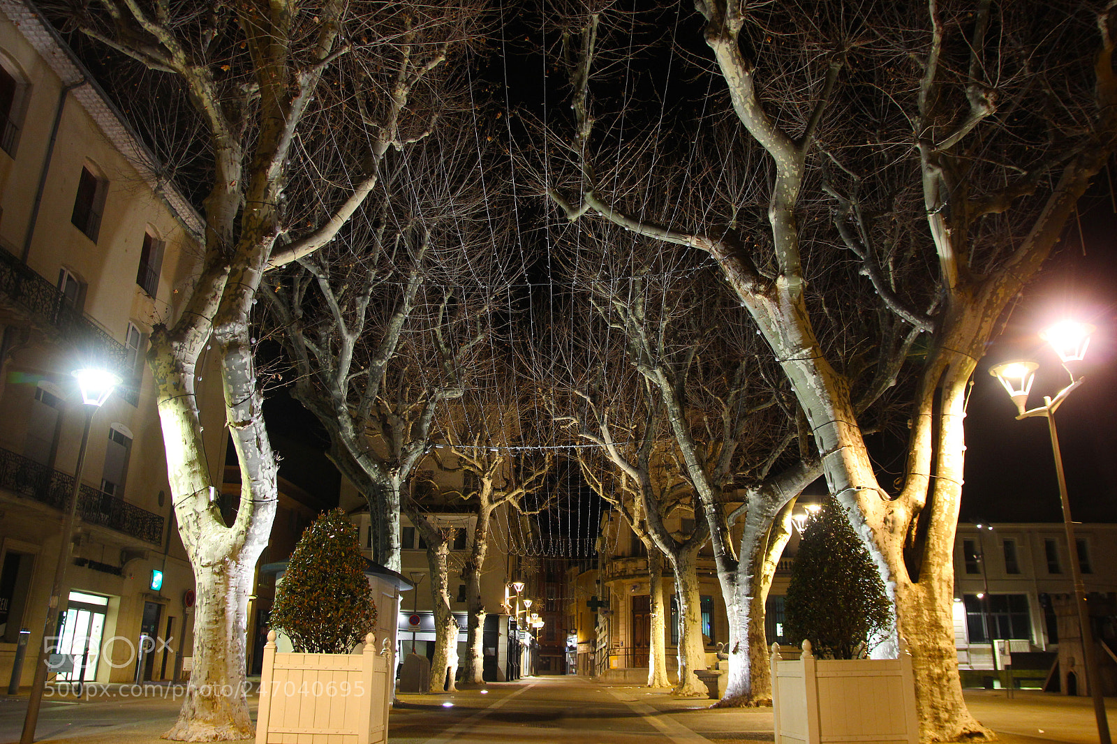 Canon EOS 600D (Rebel EOS T3i / EOS Kiss X5) sample photo. Carpentras by night photography