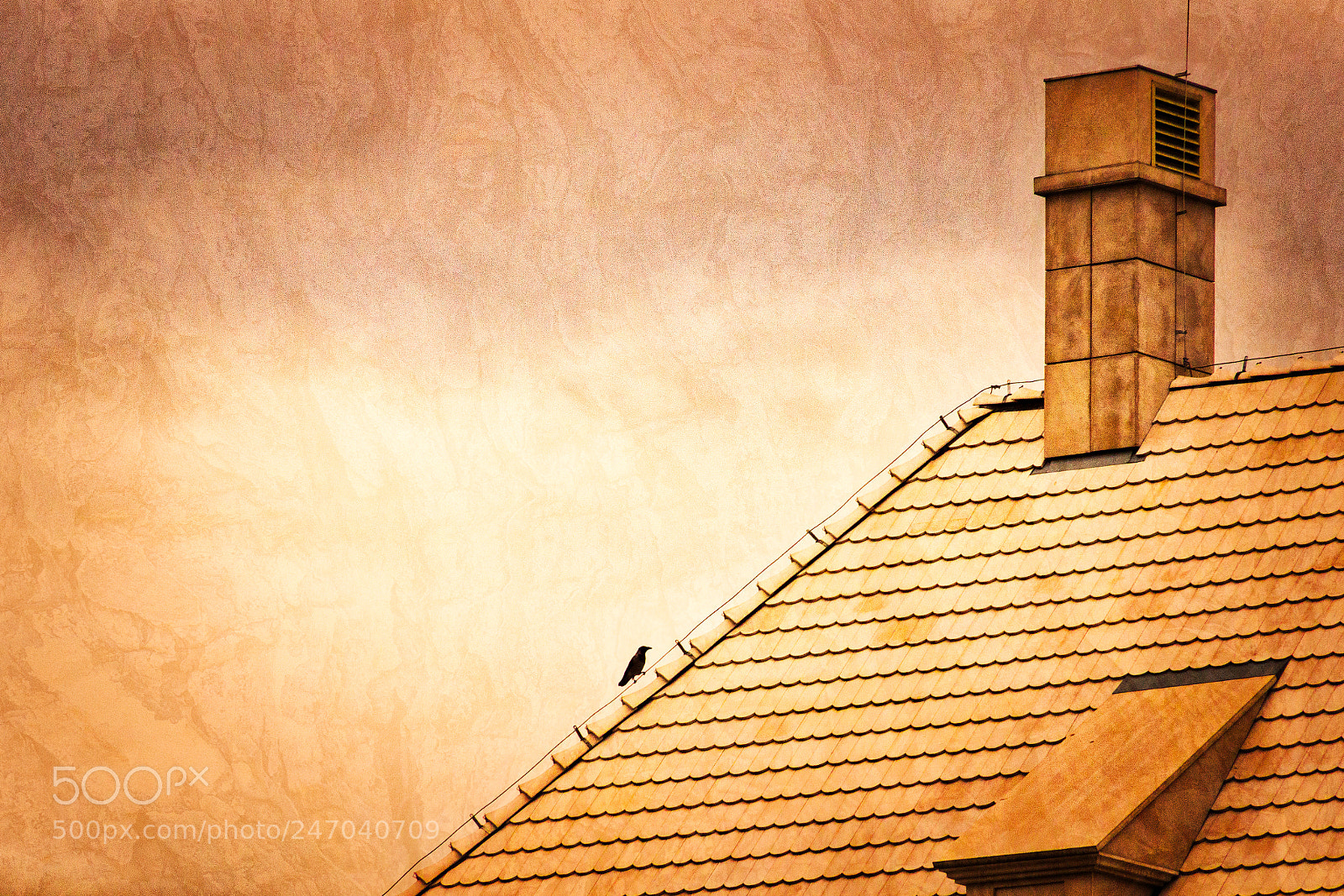 Canon EOS 600D (Rebel EOS T3i / EOS Kiss X5) sample photo. Alone on the rooftops photography