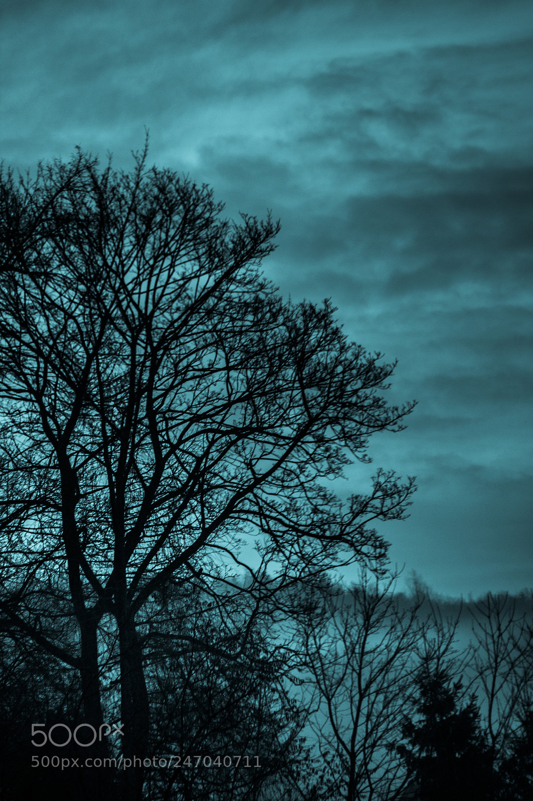 Canon EOS 600D (Rebel EOS T3i / EOS Kiss X5) sample photo. Sunrise in cyan photography