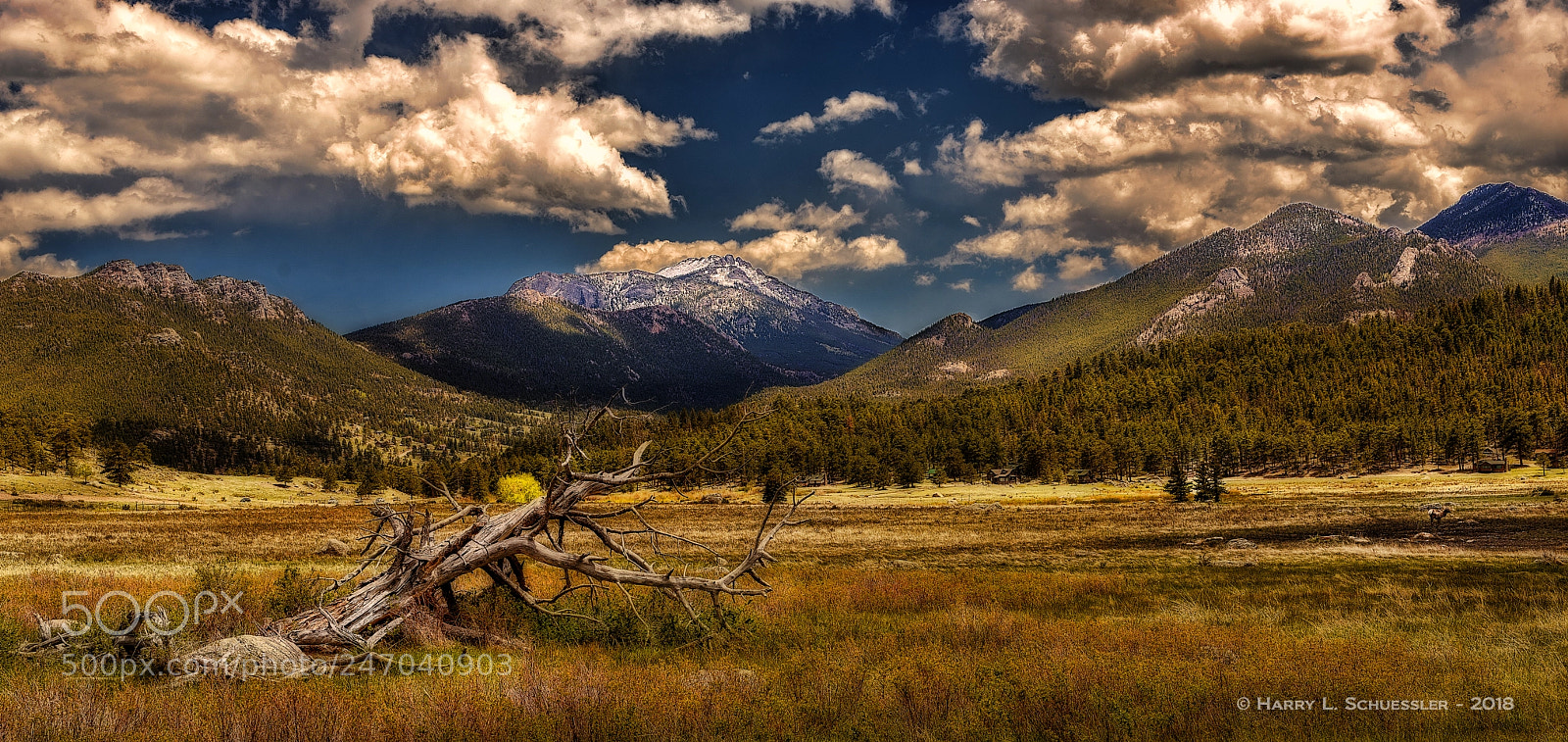 Nikon D800E sample photo. Moraine park, rocky mountain photography