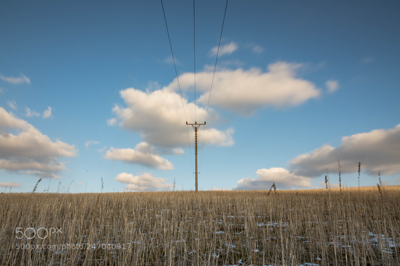 Nikon D7200 sample photo. Untitled photography