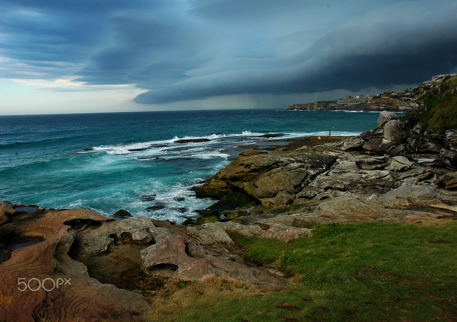 Nikon D70 sample photo. The invasion photography