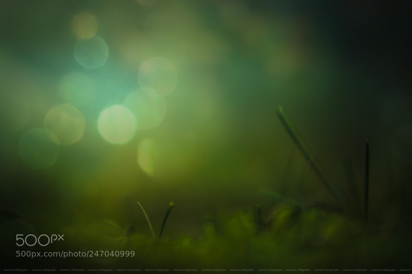 Sony ILCA-77M2 sample photo. T i m e photography