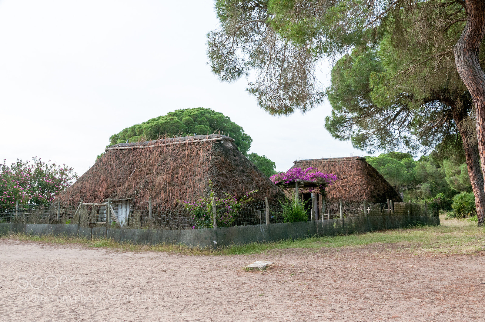 Nikon D300S sample photo. Doñana photography