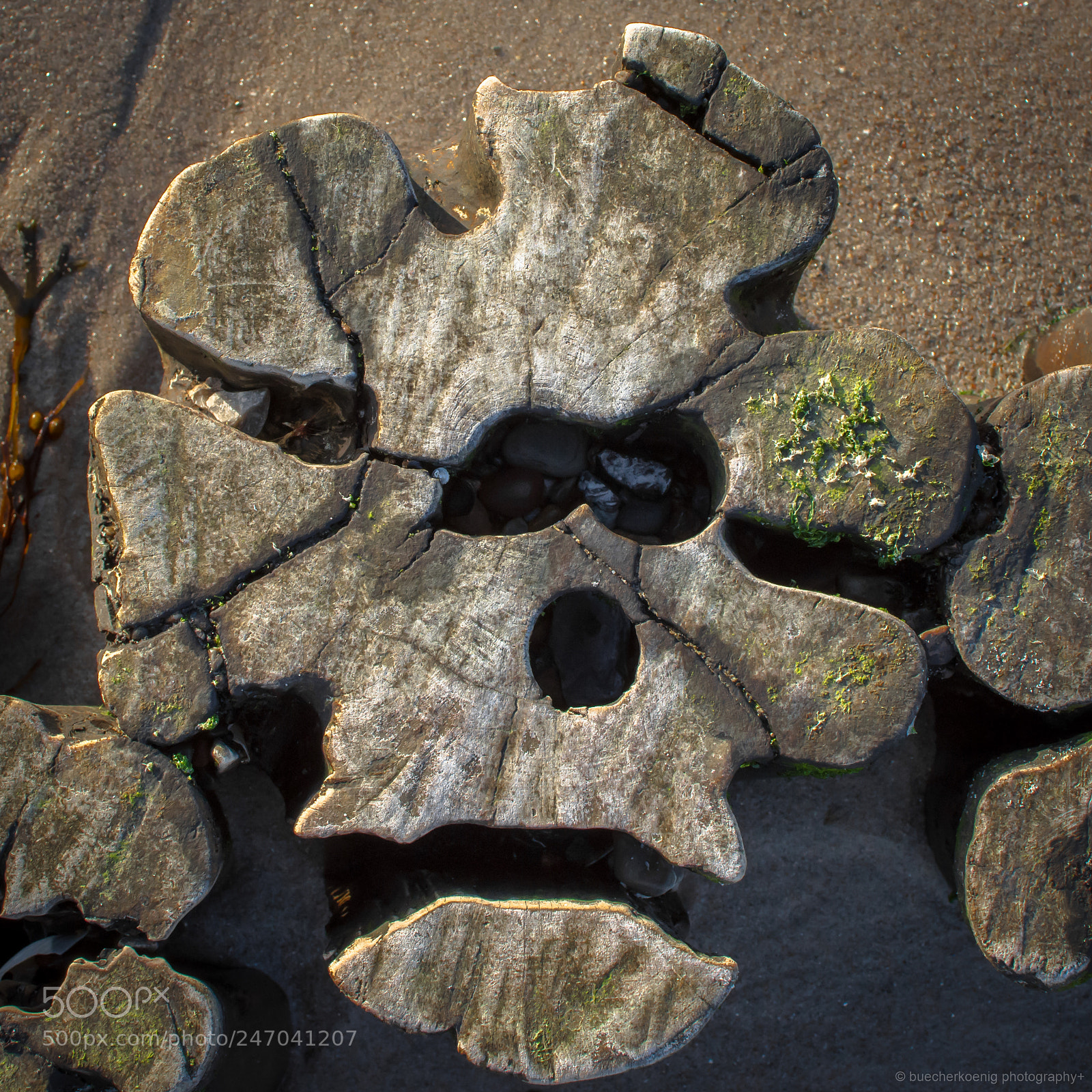 Nikon D7200 sample photo. To look for the photography