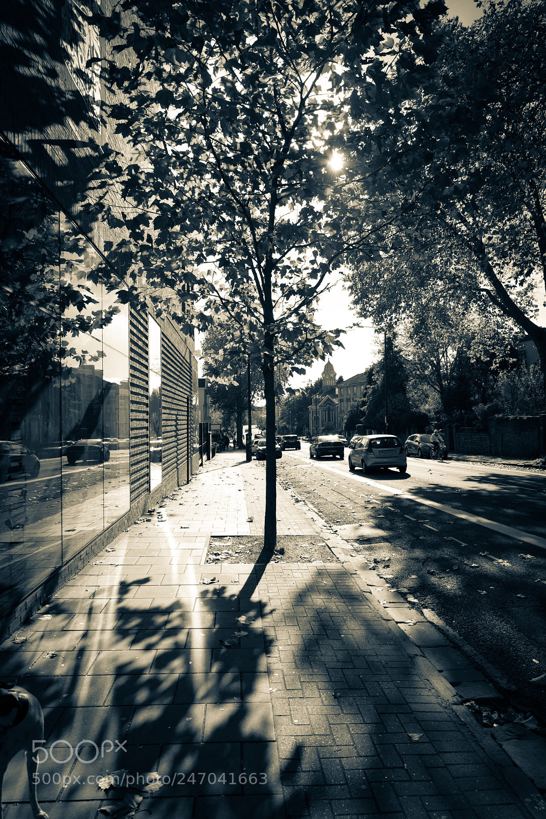 Nikon D800 sample photo. Untitled photography