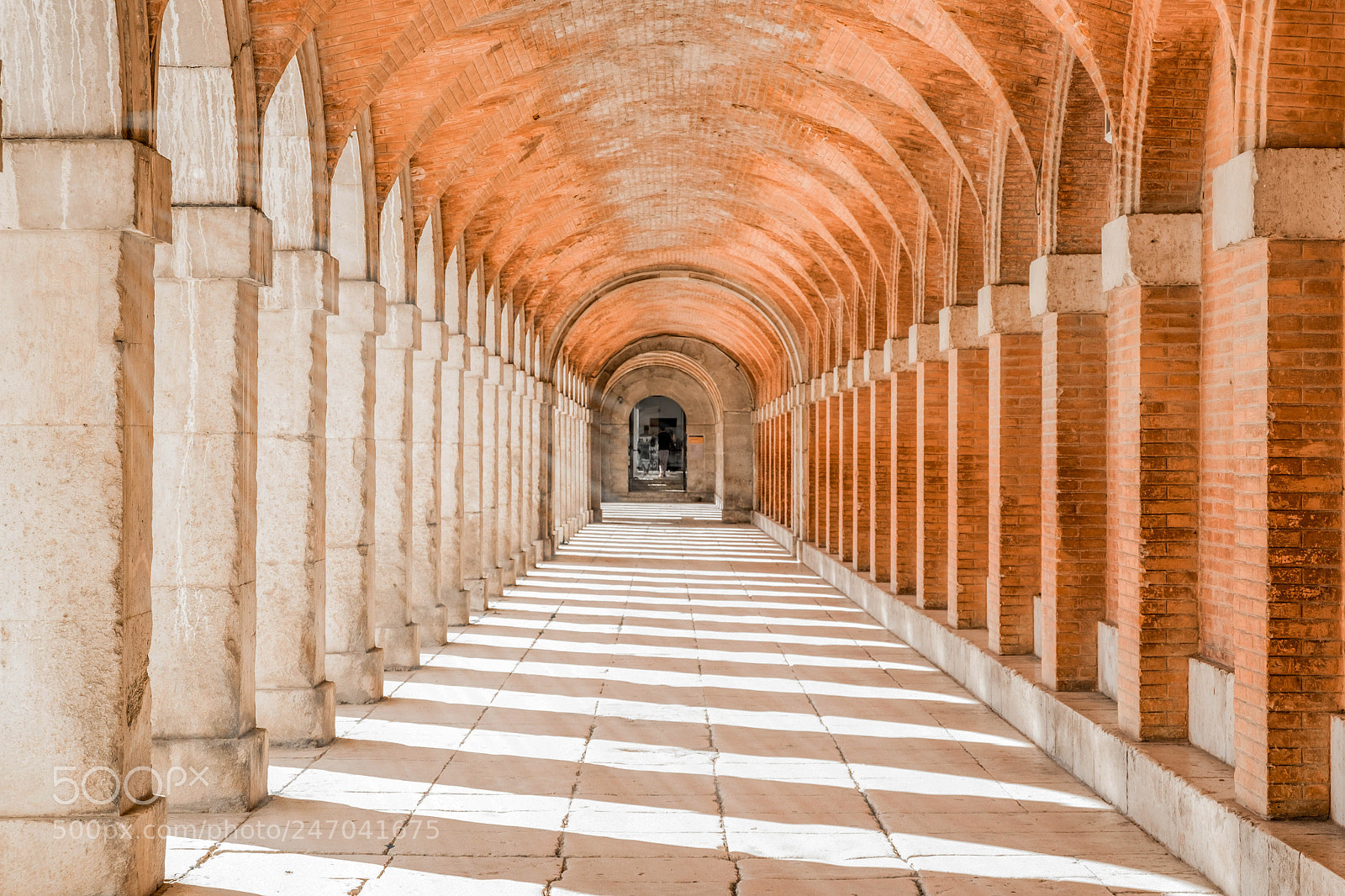 Fujifilm X-T10 sample photo. Endless columns photography