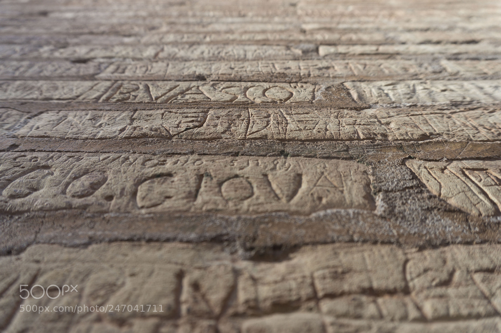 Sony Alpha NEX-5R sample photo. Angled colosseum history photography