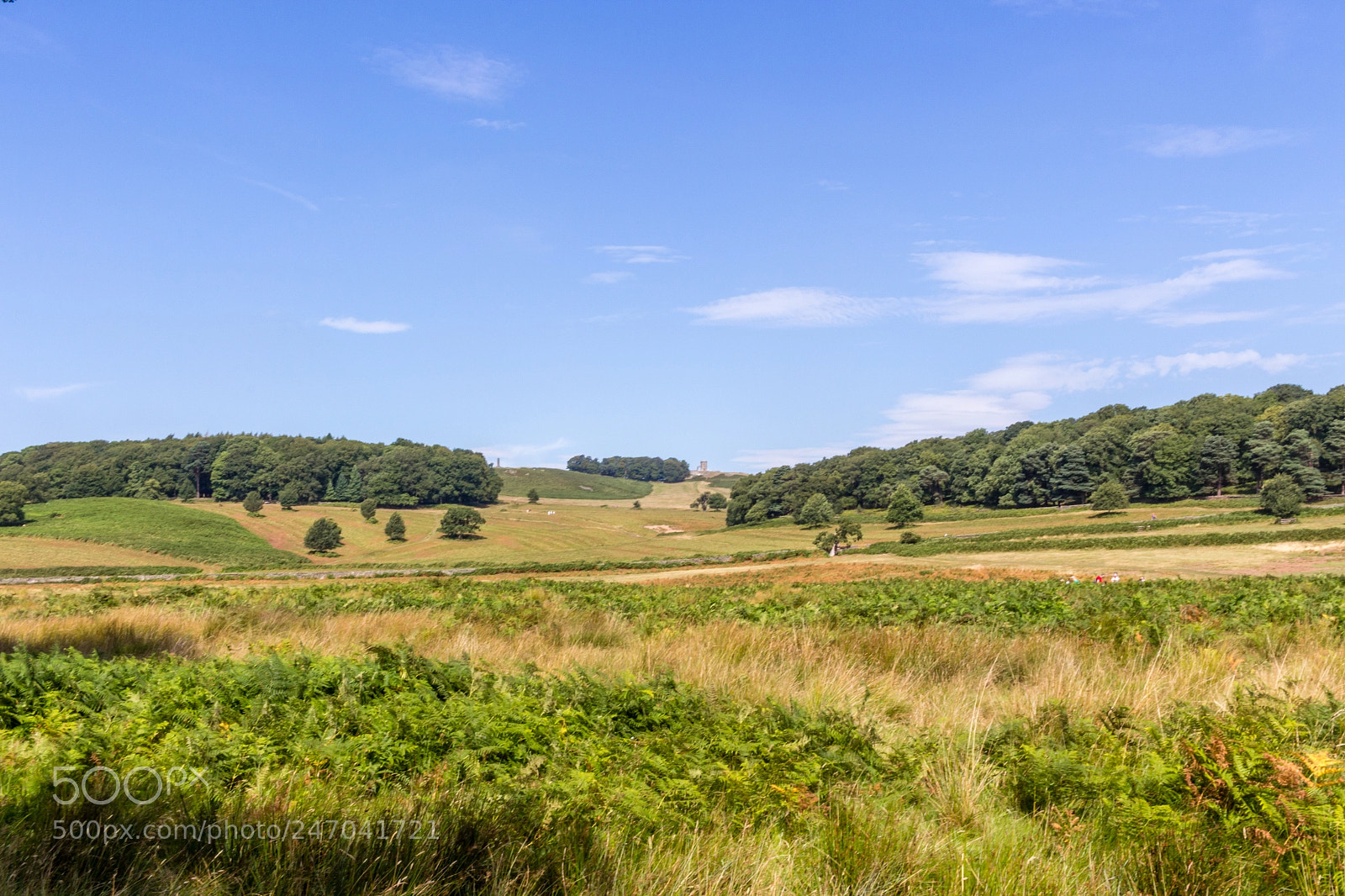 Canon EOS 100D (EOS Rebel SL1 / EOS Kiss X7) sample photo. Bradgat park leicester photography