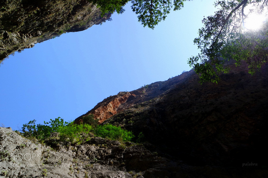 Samsung NX3000 sample photo. ... photography